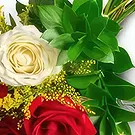 Santa Maria flowers  -  Bouquet of 10 White and Red Roses Flower Bouquet/Arrangement