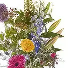 Vanlose flowers  -  Congratulation Flower Bouquet/Arrangement