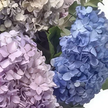 מדריד פרחים- אביב נצחי זר פרחים/סידור פרחים