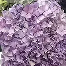 Ibiza flowers  -  Eternal Spring Flower Bouquet/Arrangement