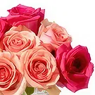 fiorista fiori di Bỉm Sơn- Le rose più rosse Bouquet floreale