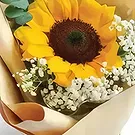 Garhoud flowers  -  Bright Beginnings Flower Bouquet/Arrangement