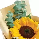 Garhoud flowers  -  Bright Beginnings Flower Bouquet/Arrangement