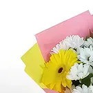 Brestovene Blumen Florist- Blütenblatt-Profis Bouquet/Blumenschmuck