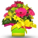 Smederevska Palanka flowers  -  Sunny Blossoms Flower Bouquet/Arrangement