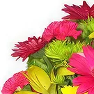 Smederevska Palanka flowers  -  Sunny Blossoms Flower Bouquet/Arrangement