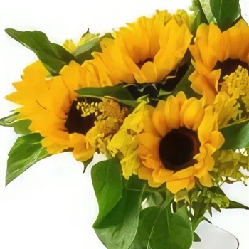 Belém kvety- Črepníkové slnečnice Aranžovanie kytice