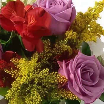 サンパウロ 花- バラとアストロネリアのバイカラー配置 花束/フラワーアレンジメント