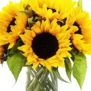 flores de Casablanca- Sunny Delight Bouquet/arranjo de flor