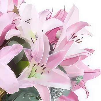Тарб цветы- Букет брюссельской розовой лилии Цветочный букет/композиция