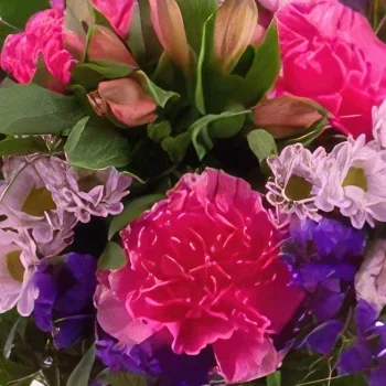 flores de Dusseldorf- Borboleta Bouquet/arranjo de flor