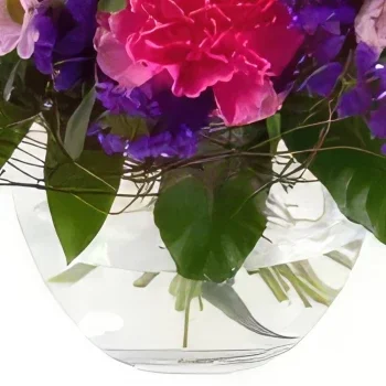 Nurnberg rože- Metulj Cvet šopek/dogovor