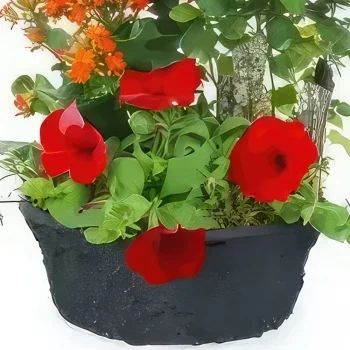 Lille blomster- Calidi rød, oransje plantekopp Blomsterarrangementer bukett