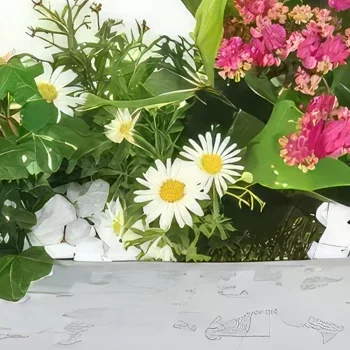 Pau bloemen bloemist- Calypso roze & witte plantenbak Boeket/bloemstuk
