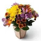 Chile flowers  -  Small Field Flowers Arrangement Flower Bouquet/Arrangement
