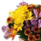 Chile flowers  -  Small Field Flowers Arrangement Flower Bouquet/Arrangement