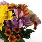 Chile flowers  -  Small Field Flowers Arrangement Flower Bouquet/Arrangement