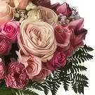 Ouled Maaref flowers  -  Charlotte in bloom Flower Bouquet/Arrangement