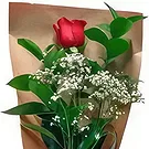 Ibiza flowers  -  Expresses  Flower Bouquet/Arrangement