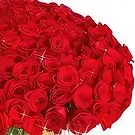 fleuriste fleurs de Niu Blau- Romance radieuse Bouquet/Arrangement floral