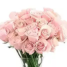 Garhoud flowers  -  Baby Choice Flower Bouquet/Arrangement