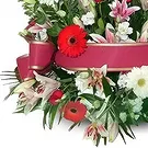 Benidorm blommor- Gentle Embrace-begravningar Bukett/blomsterarrangemang