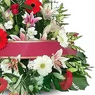 Benidorm blommor- Gentle Embrace-begravningar Bukett/blomsterarrangemang