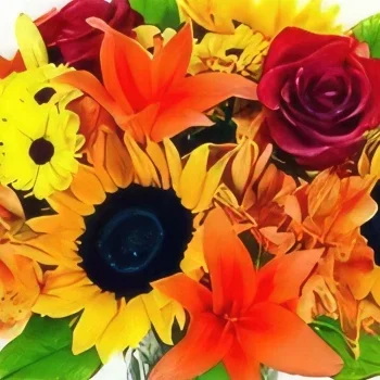 בנגקוק פרחים- קרנבל זר פרחים/סידור פרחים