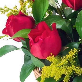Belém blomster- Kurv med 9 røde roser, chokolade og mousseren Blomst buket/Arrangement
