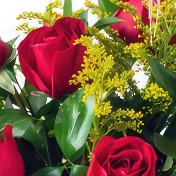 Salvador kukat- Kori 9 punaisella ruusulla, suklaalla ja kuoh Kukka kukkakimppu