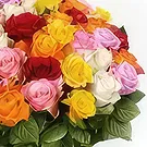 Ad Dilam blomster- 50 blandede roser Blomsterarrangementer bukett