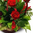 Malbork flowers  -  Open Joy Flower Bouquet/Arrangement