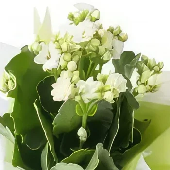 Manaus blommor- White Fortune Blomma för gåva Bukett/blomsterarrangemang
