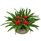 Cala Llonga flowers  -  Garden Tapestry Flower Bouquet/Arrangement