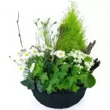 nett Blumen Florist- Zusammensetzung der weißen Pflanze der Kamill Bouquet/Blumenschmuck