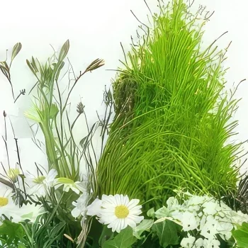 Λιλ λουλούδια- Σύνθεση λευκού φυτού χαμομήλου Μπουκέτο/ρύθμιση λουλουδιών
