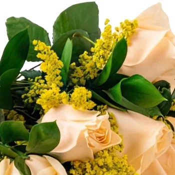fiorista fiori di Recife- Bouquet di 8 rose champagne e orsacchiotto Bouquet floreale