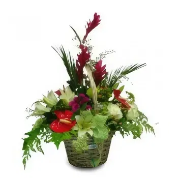 Mallorca flowers  -  Natural Beauty 