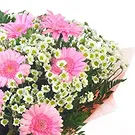 Italy flowers  -  Bouquet of pink Gerberas and white Daisies Flower Bouquet/Arrangement