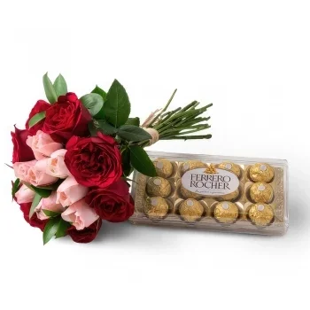 Braсilia cveжe- Buket od 15 dvobojnih ruža i �?okolada Cvet buket/aranžman