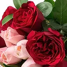 Santa Maria flowers  -  Bouquet of 15 Two-Color Roses and Chocolates Flower Bouquet/Arrangement