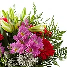 Oman flowers  -  Good Day Flower Bouquet/Arrangement