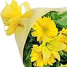 Greece flowers  -  Morning Glory Flower Bouquet/Arrangement
