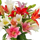 Haarlem flowers  -  Lilies - Fancy mix Flower Bouquet/Arrangement