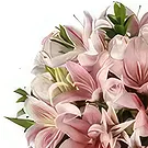 Ad Dilam blomster- Blandede liljer Blomsterarrangementer bukett