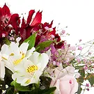 Oman flowers  -  First Choice Flower Bouquet/Arrangement