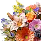 Garching b Munchen flowers  -  Vivid Whimsy  Flower Bouquet/Arrangement