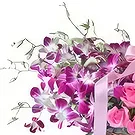 Ad Dilam blomster- Lilla rosa kurv Blomsterarrangementer bukett