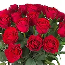 Amsterdam-Zuidoost flowers  -  Handcrafted  Flower Bouquet/Arrangement