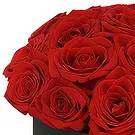 Greece flowers  -  Morning Glory Flower Bouquet/Arrangement